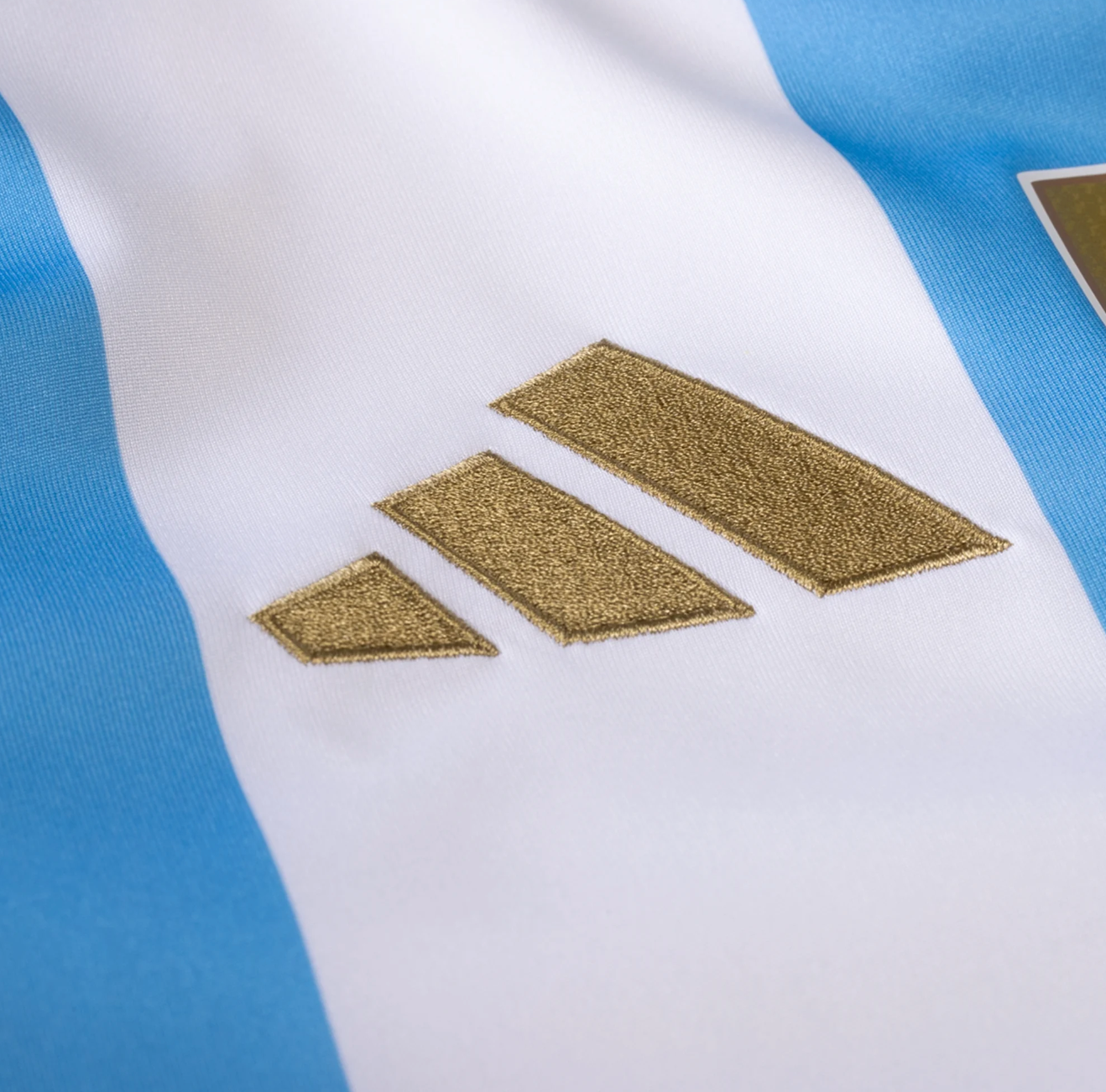 Custom Name Argentina Home 24/25 Jersey